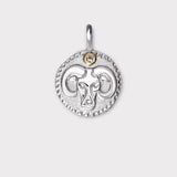 Aries Charm