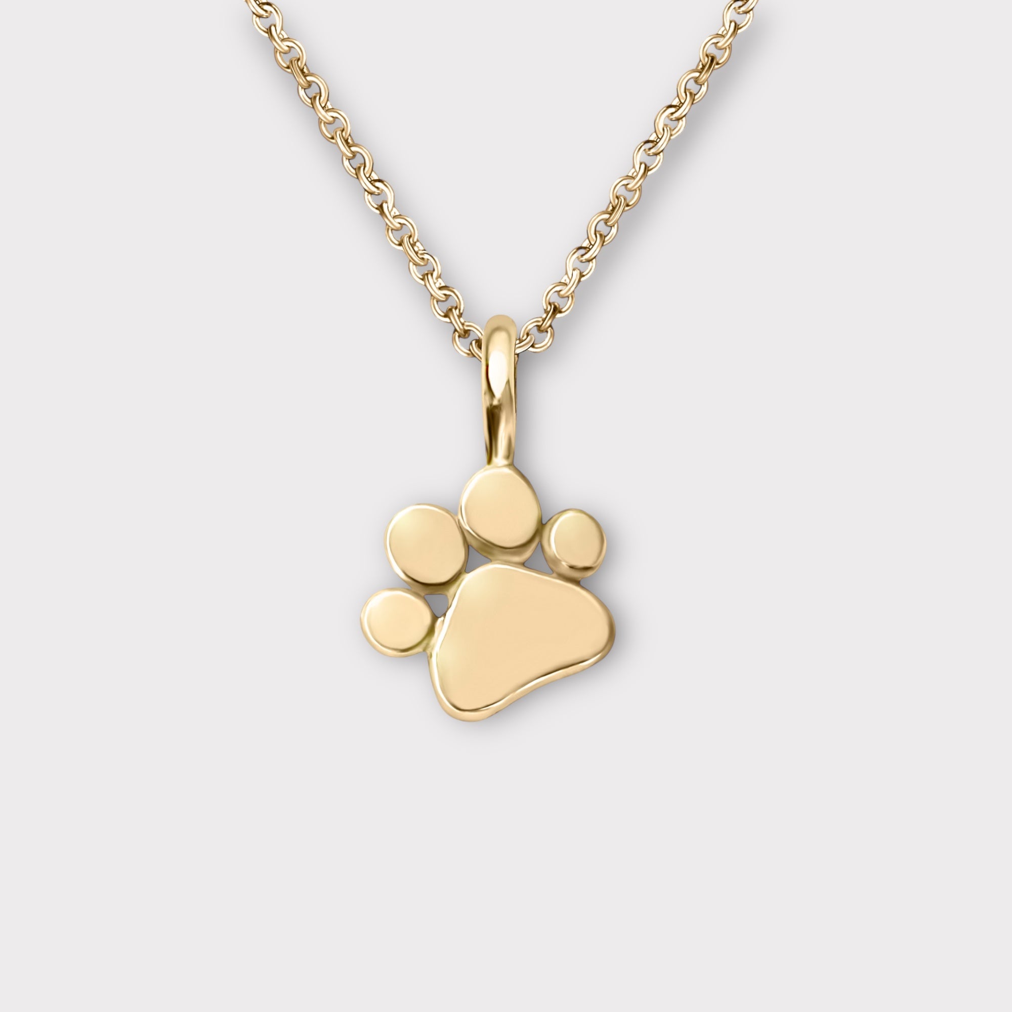 Small Paw Charm Necklace