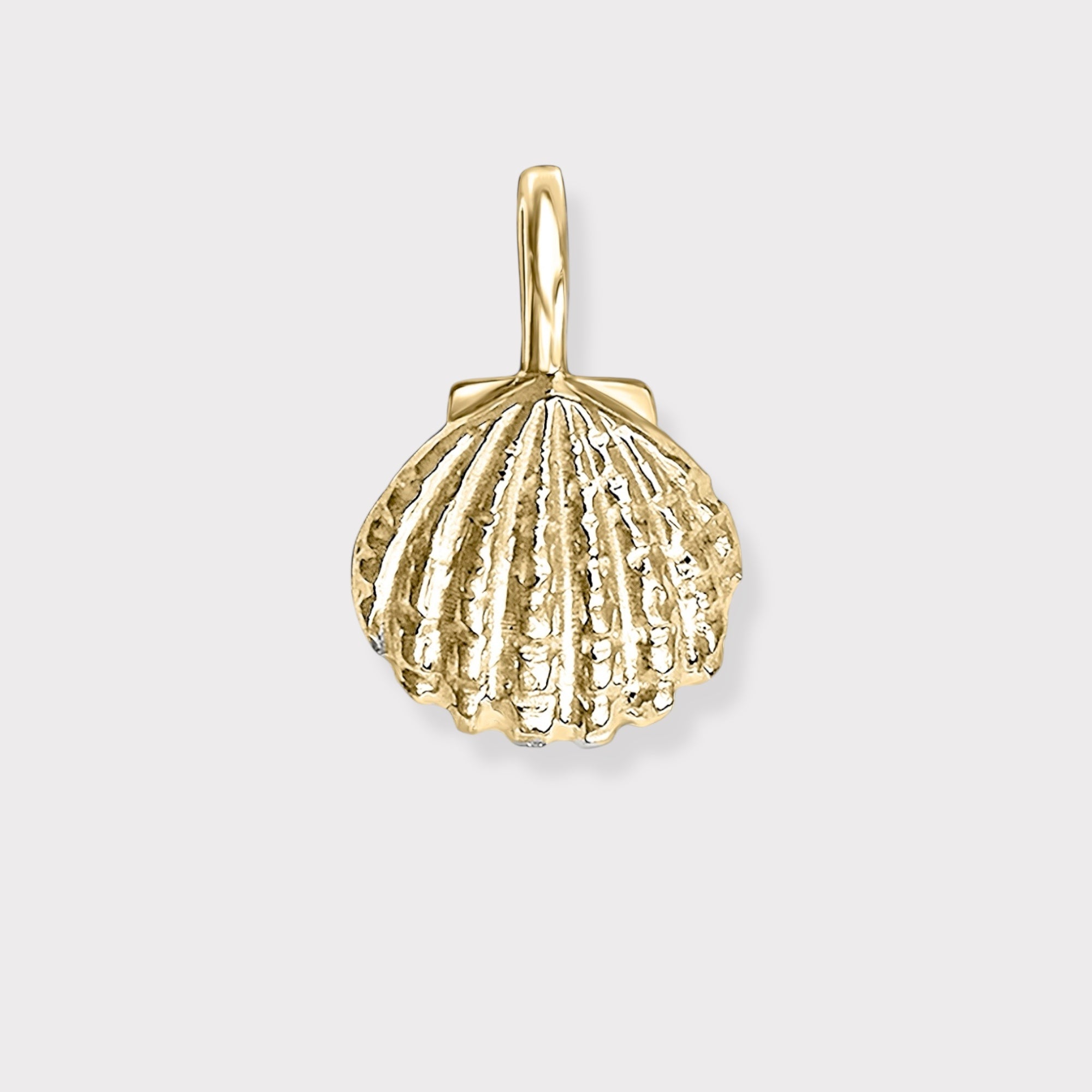 Scallop Shell Charm